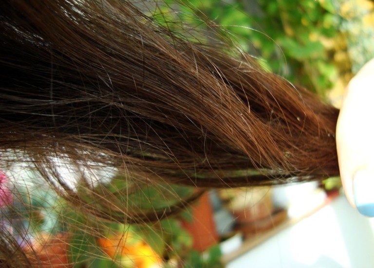 Schwarzkopf Gliss Ultimate Repair Sampuan